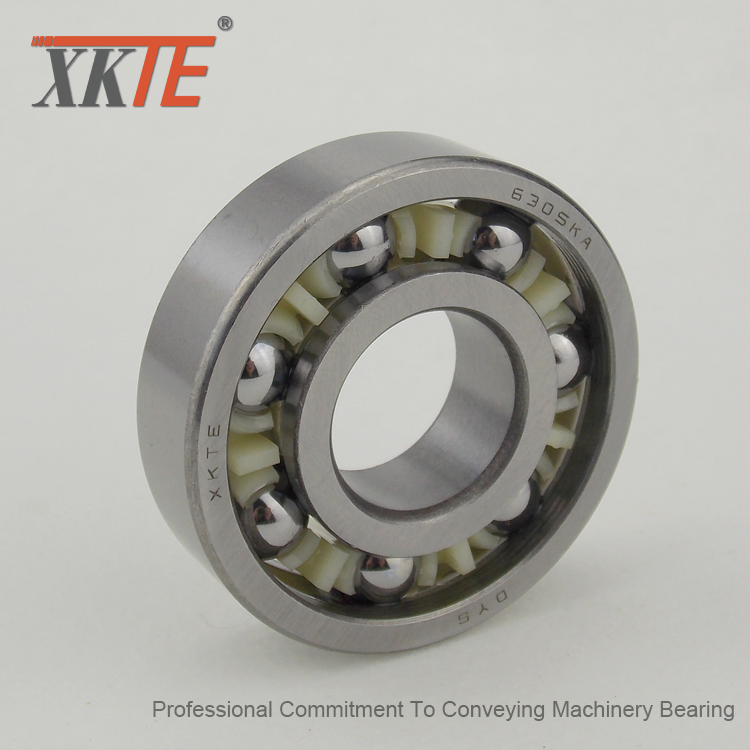 TW Poliamida 6.6 Ball Bearing Kandang Untuk Roller Idler