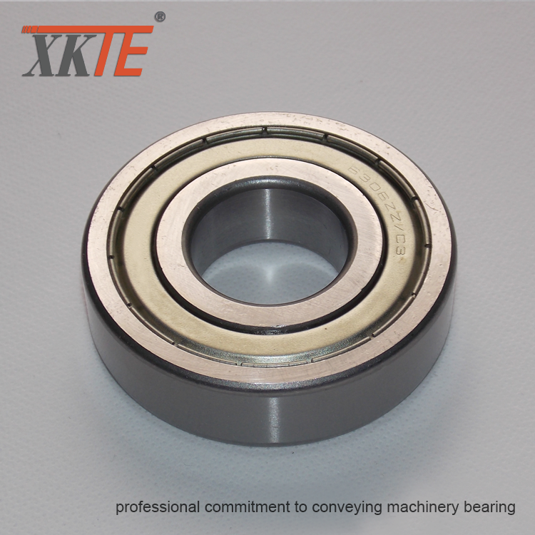 Bearing Untuk Pemrosesan Massal Conveyor Idler