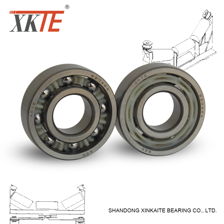 Rubber Sealed Nylon Cage Ball Bearing 6204