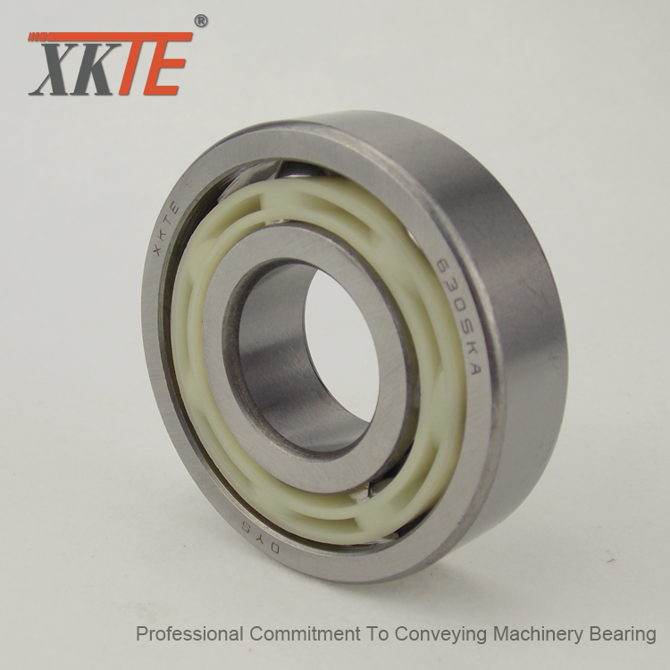 Nylon 6/6 Cage Bearing Untuk Mining Conveyor Idler Roller