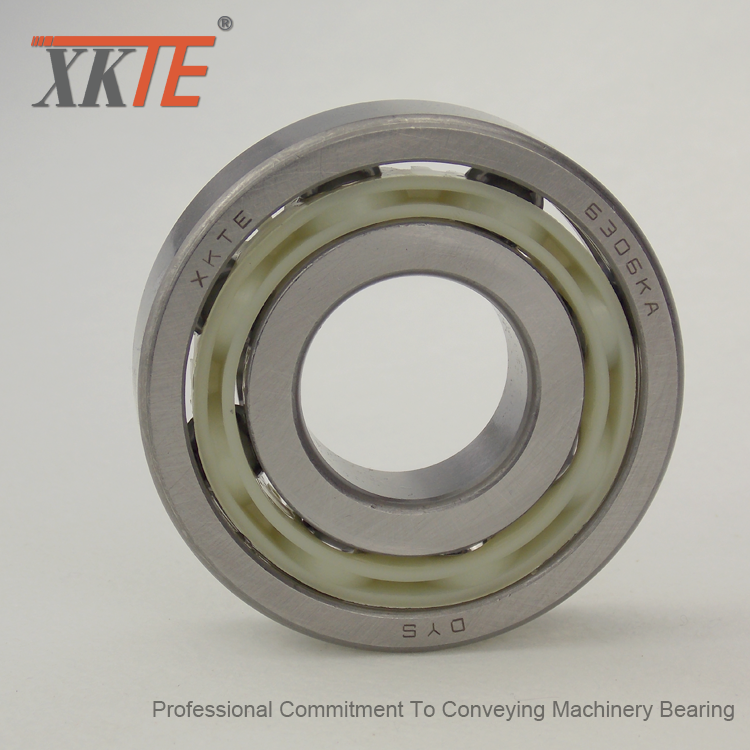 BB1B420306 C3 Bearing