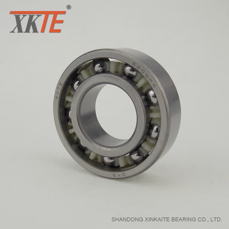 Kerangka Poliamida BB1B420205 C3 Conveyor Roller Bearing