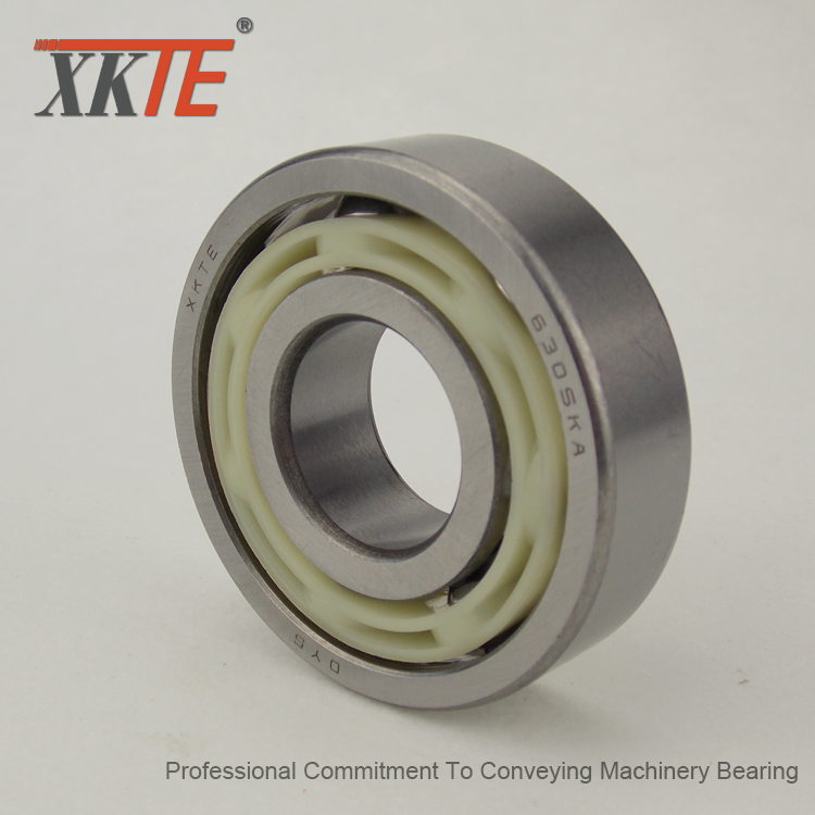 6305 Nylon Cage Bearing