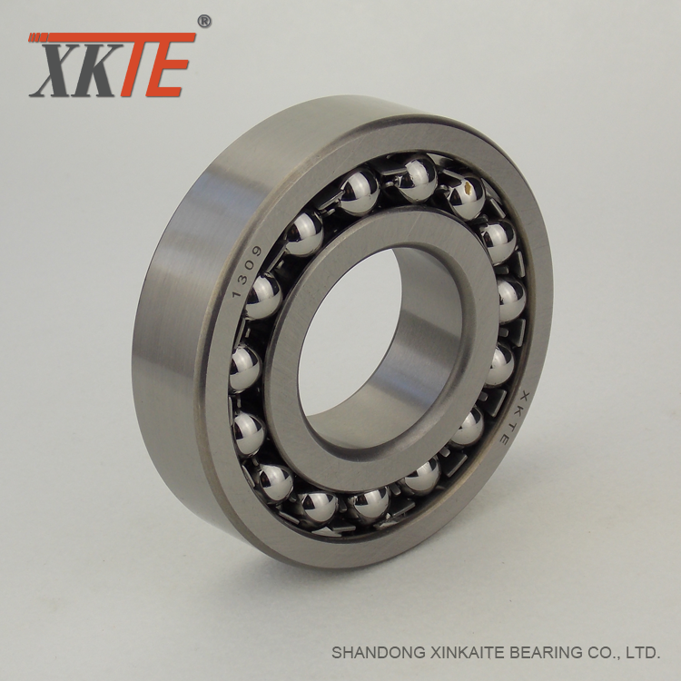 Self aligning Ball Bearing 1309 Untuk Drum Pulley